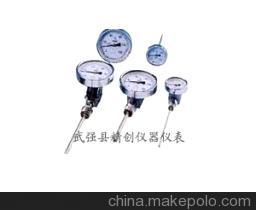 【超強(qiáng)防腐316材WSS-501F雙金屬溫度計】價格,廠家,圖片,溫度計,武強(qiáng)縣精創(chuàng)儀器儀表廠(銷售公司)-