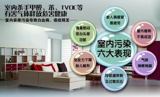 現(xiàn)代裝修,如何進行室內(nèi)裝修空氣污染的預防和治理
